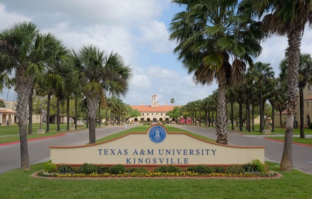 Texas A&M University–Kingsville in Alice Pictures